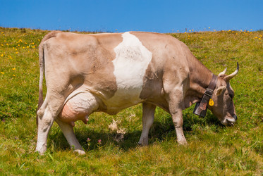 Similar image 21260844