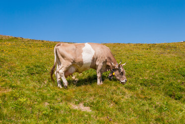 Similar image 21260846