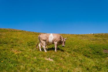 Similar image 21261023