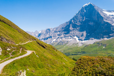 Similar image 21261024