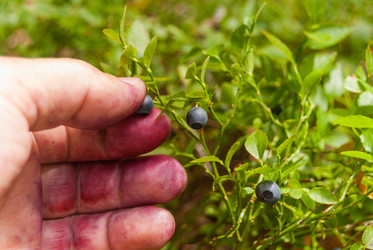 Similar image 21263887