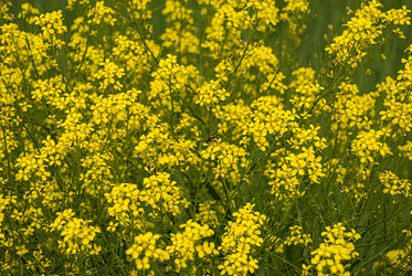 Similar image 21263890