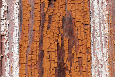 Similar image 21263891