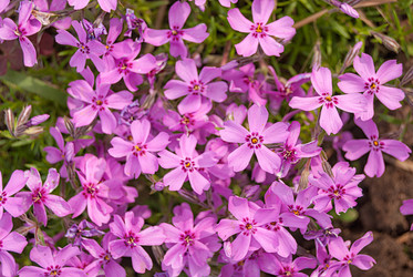 Similar image 21265730