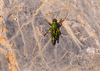 Similar image 21260461