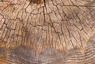 Similar image 21260463