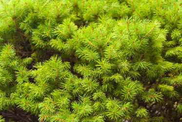 Similar image 21260849