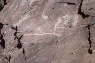 Similar image 21260855