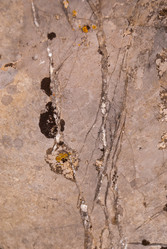 Similar image 21260859