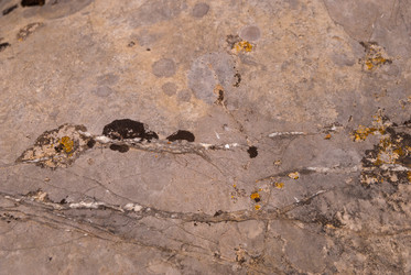 Similar image 21260861