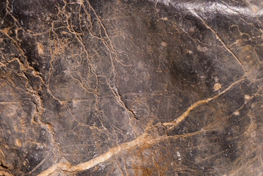 Similar image 21260863