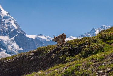 Similar image 21260864