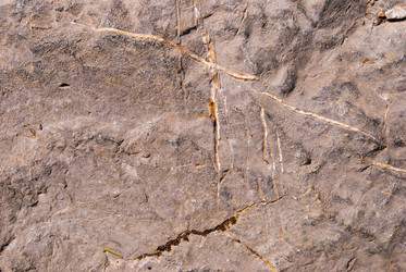 Similar image 21261027