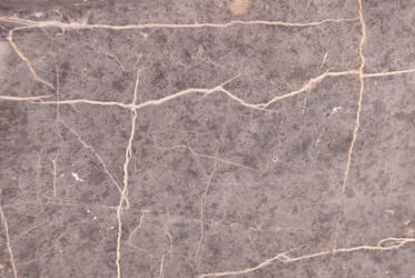 Similar image 21261029