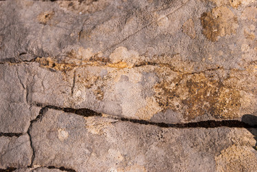 Similar image 21261031