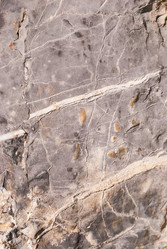 Similar image 21261906