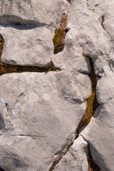 Similar image 21263293