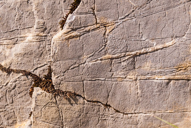 Similar image 21263894