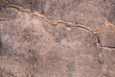 Similar image 21263896