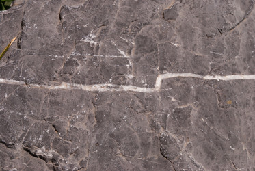 Similar image 21263897