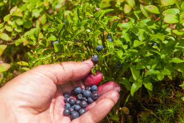 Similar image 21264663