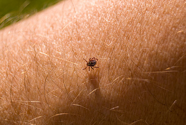 Similar image 21265052