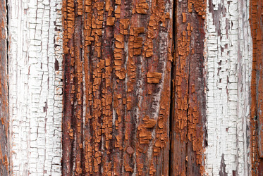 Similar image 21265737