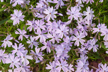 Similar image 21266634