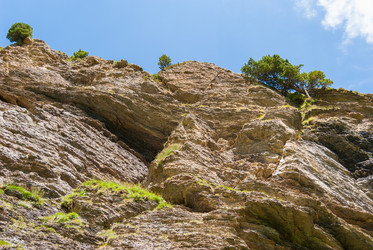 Similar image 21261032