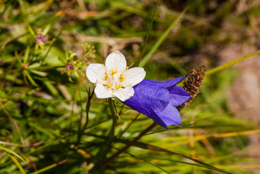 Similar image 21261908