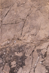 Similar image 21263295