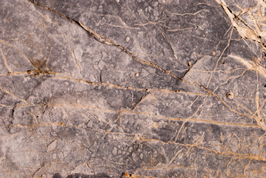 Similar image 21263902