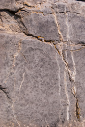 Similar image 21263905