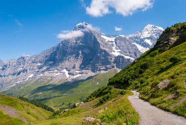 Similar image 21263906