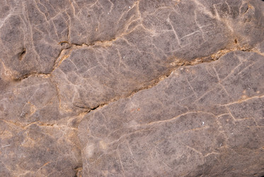 Similar image 21263907