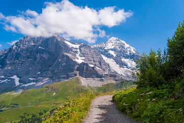 Similar image 21263908