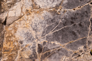 Similar image 21264664