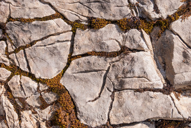 Similar image 21264666