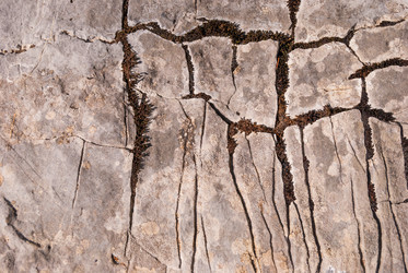 Similar image 21265053