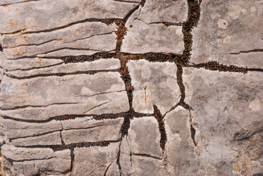 Similar image 21265743