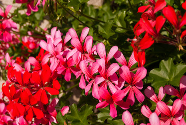 Similar image 21265744