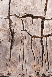 Similar image 21265745