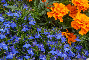 Similar image 21265746