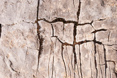 Similar image 21265747