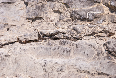 Similar image 21265749