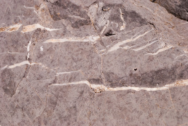 Similar image 21266635