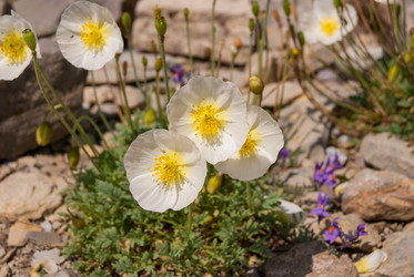 Similar image 21266636