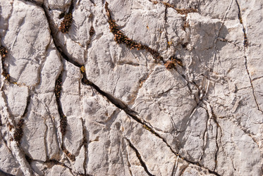 Similar image 21266637