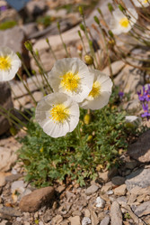 Similar image 21266638