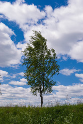 Similar image 21260208